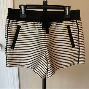 Ann Taylor LOFT shorts